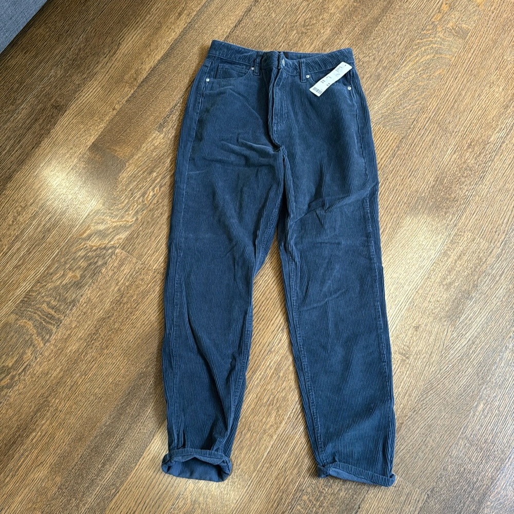 NEW WITH TAGS URBAN OUTFFITERS FLEECE LINED CORDUROY PANTS